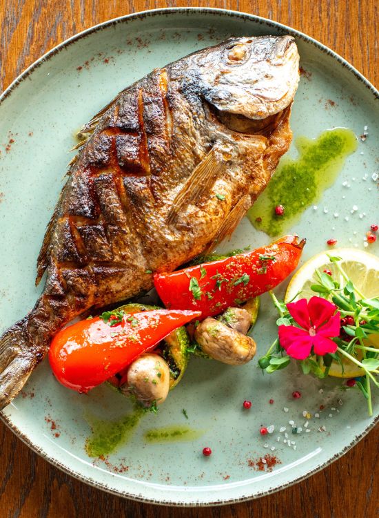 gastronomia conil gastronomia conil