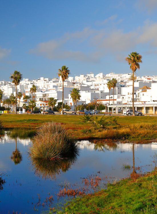 sobre conil sobre conil